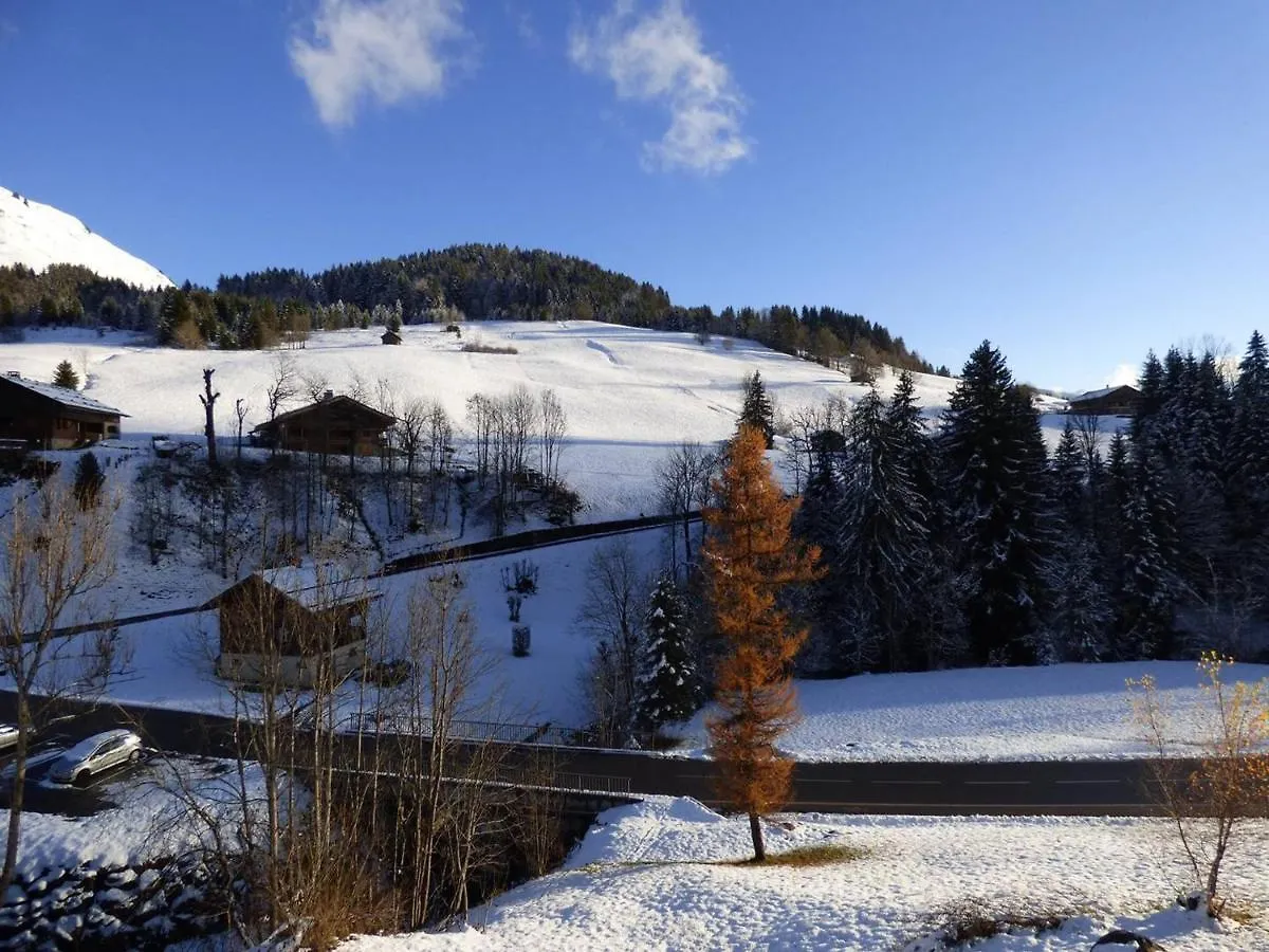 Studio Le Grand-Bornand, 1 pièce, 4 personnes - FR-1-458-113 France