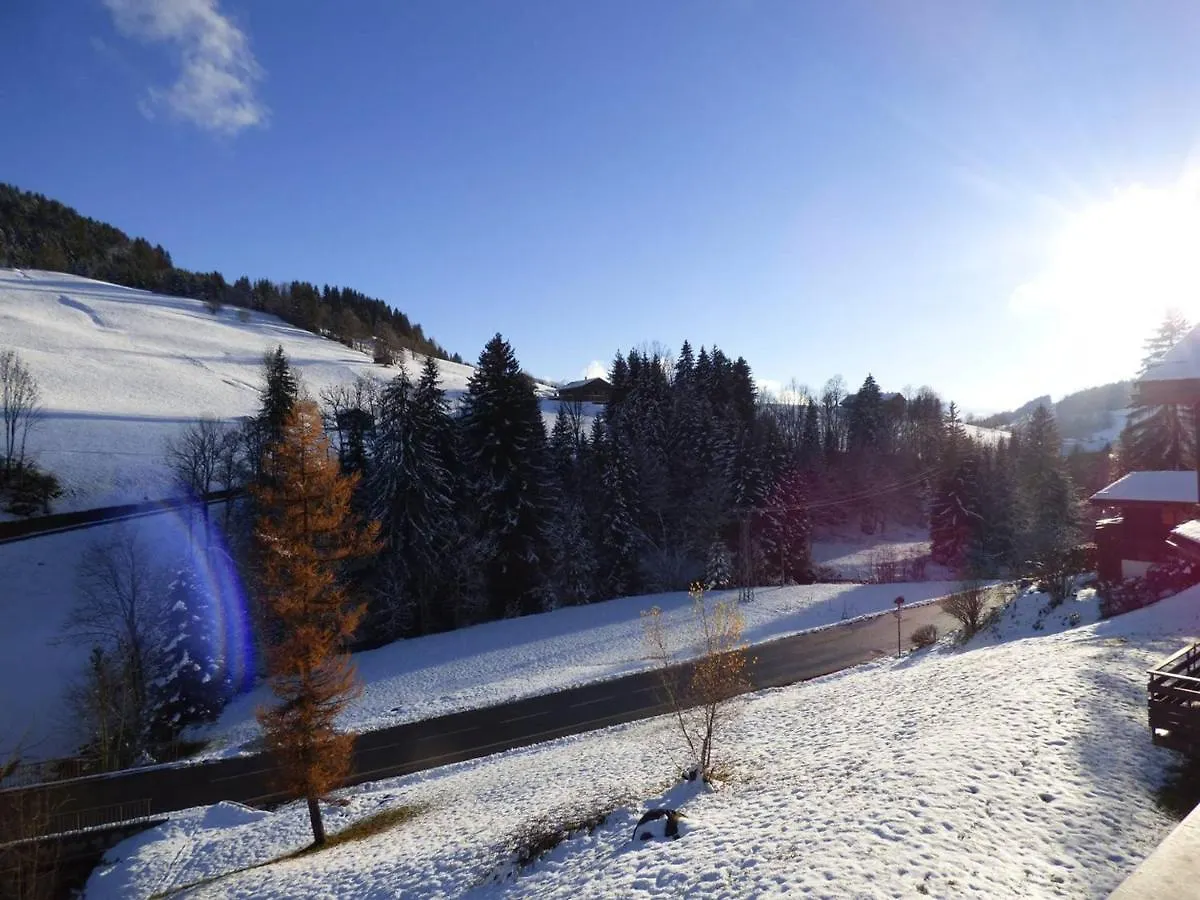 Studio Le Grand-Bornand, 1 pièce, 4 personnes - FR-1-458-113 0*,  France